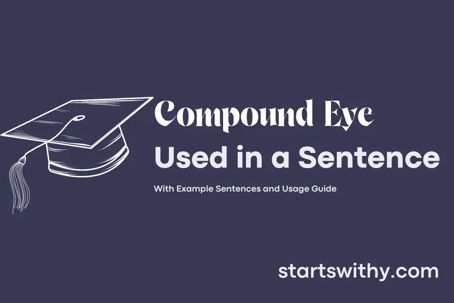 sentence with Compound Eye