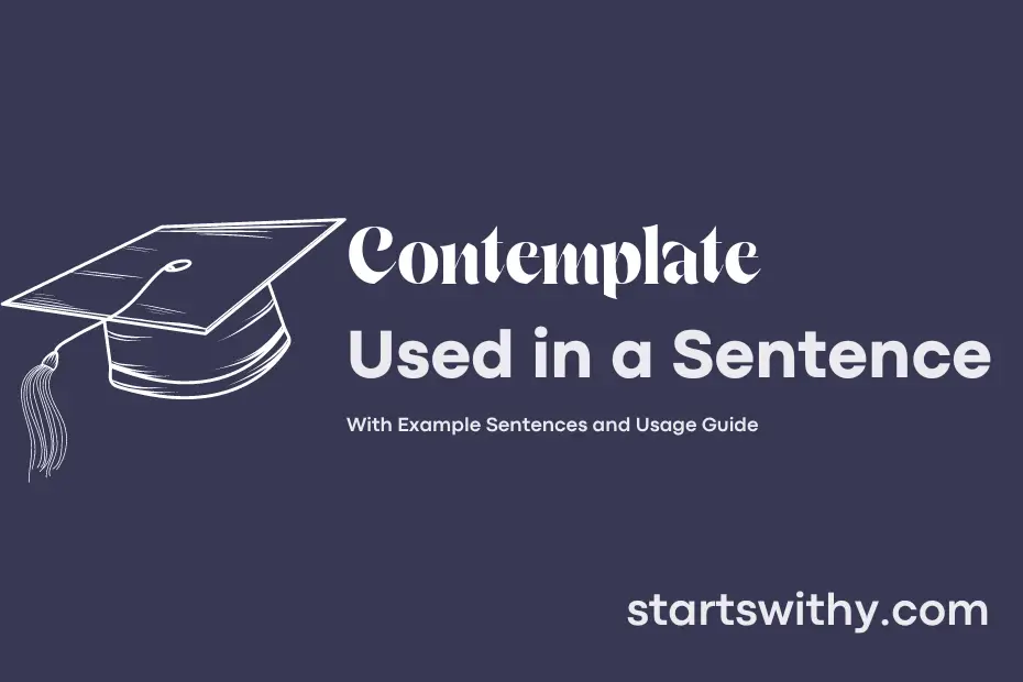 sentence with Contemplate