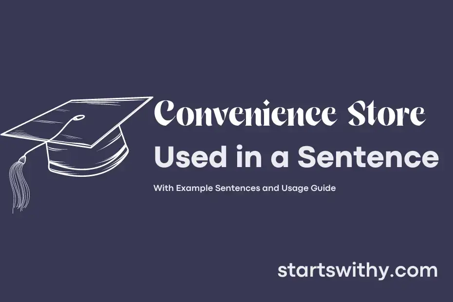 sentence with Convenience Store