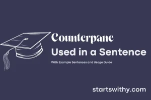 Countepane COUNTERPANE in a Sentence Examples: 21 Ways to Use Counterpane