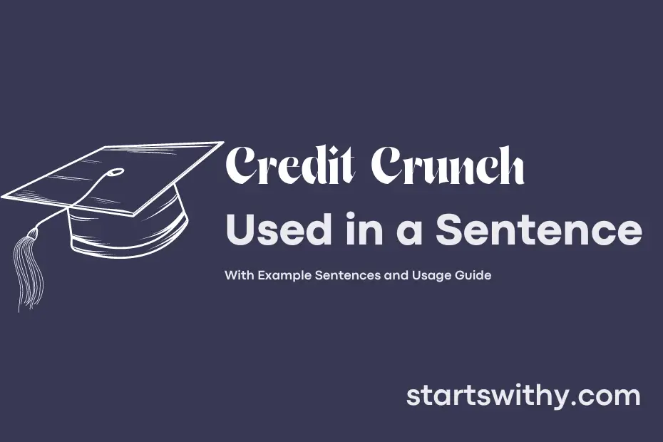 sentence with Credit Crunch