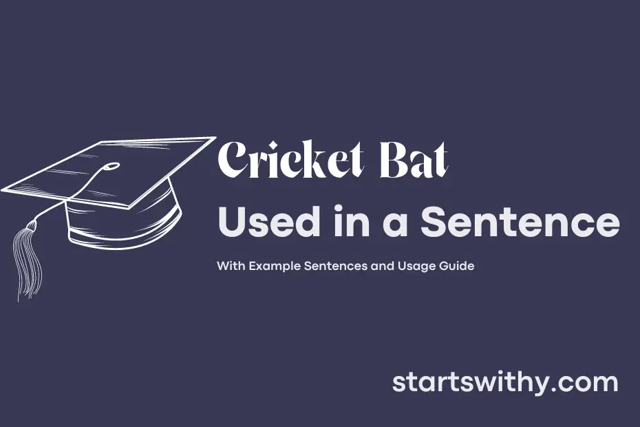 sentence with Cricket Bat