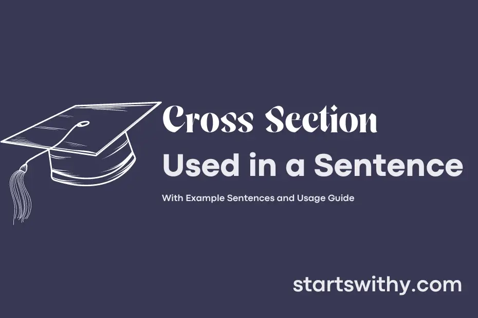 sentence with Cross Section