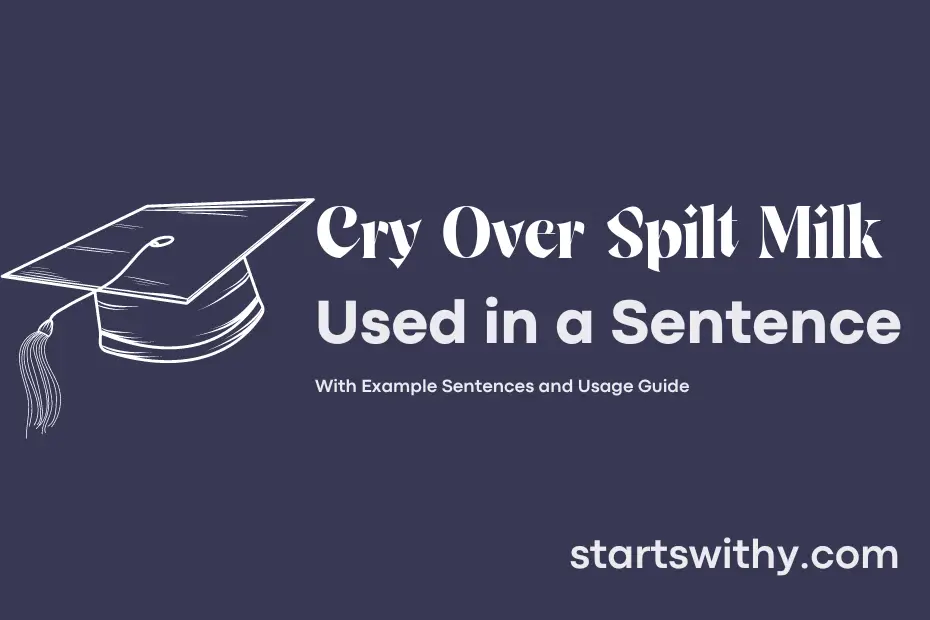 sentence with Cry Over Spilt Milk