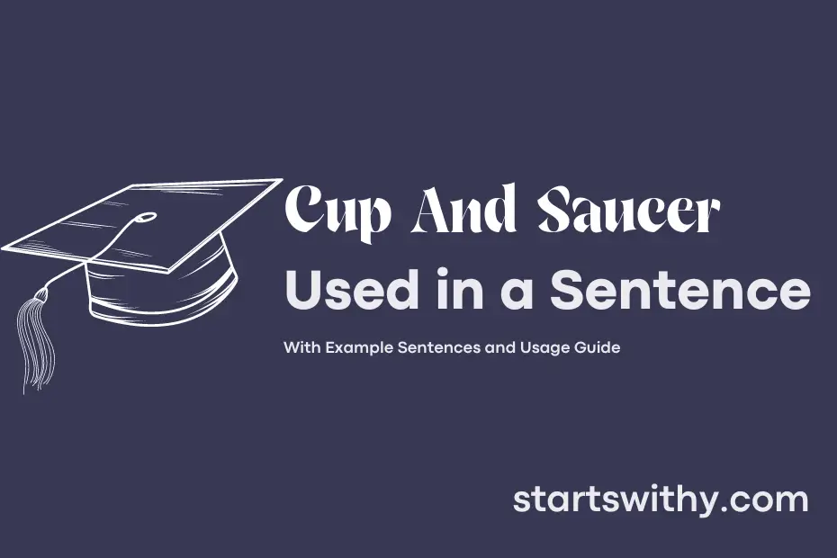 sentence with Cup And Saucer