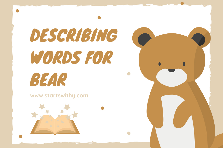 Describing Words for Bear