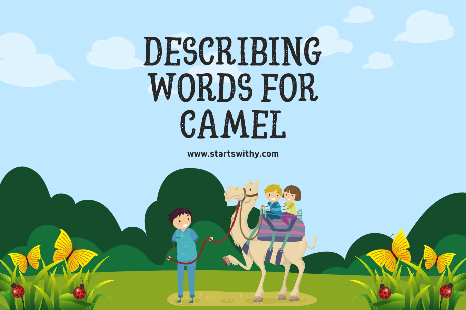 Describing Words for Camel