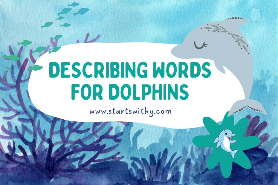 Describing Words for Dolphins