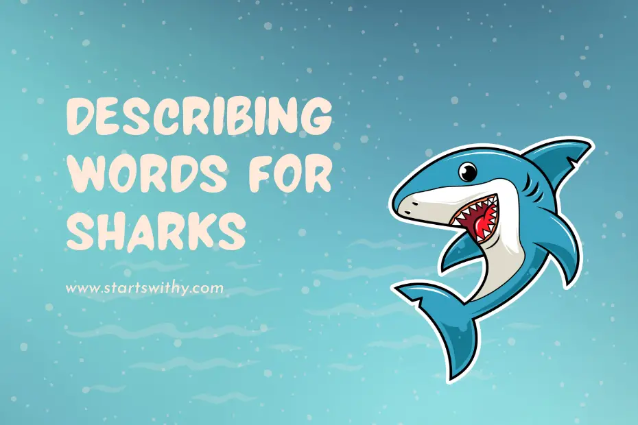 Describing Words for Sharks