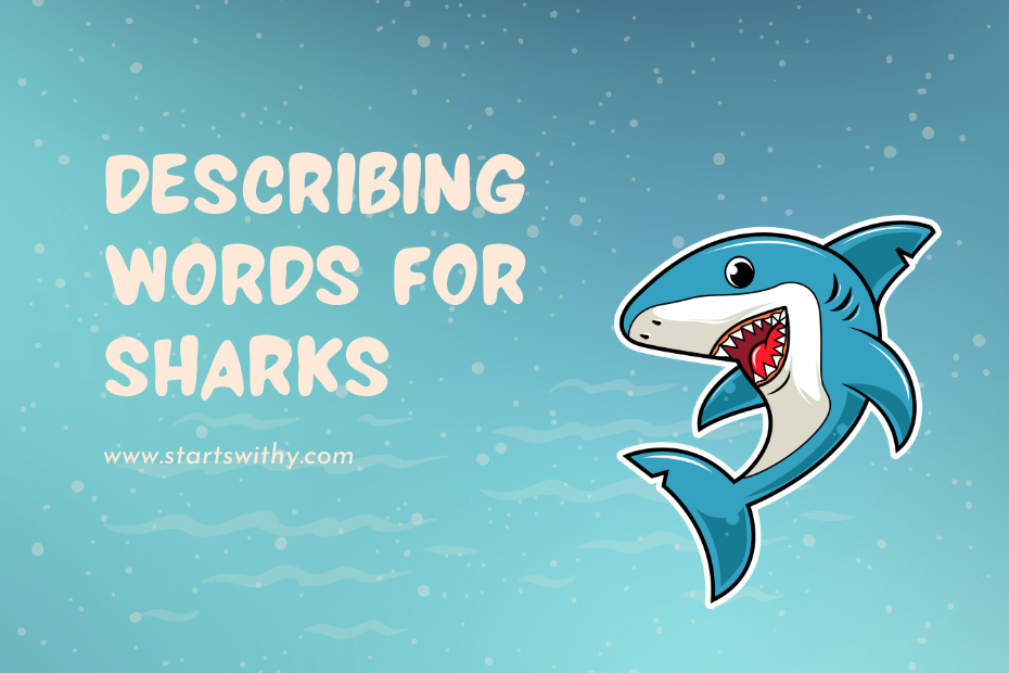 Describing Words for Sharks
