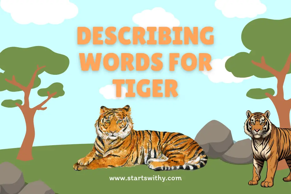 Describing Words for Tiger