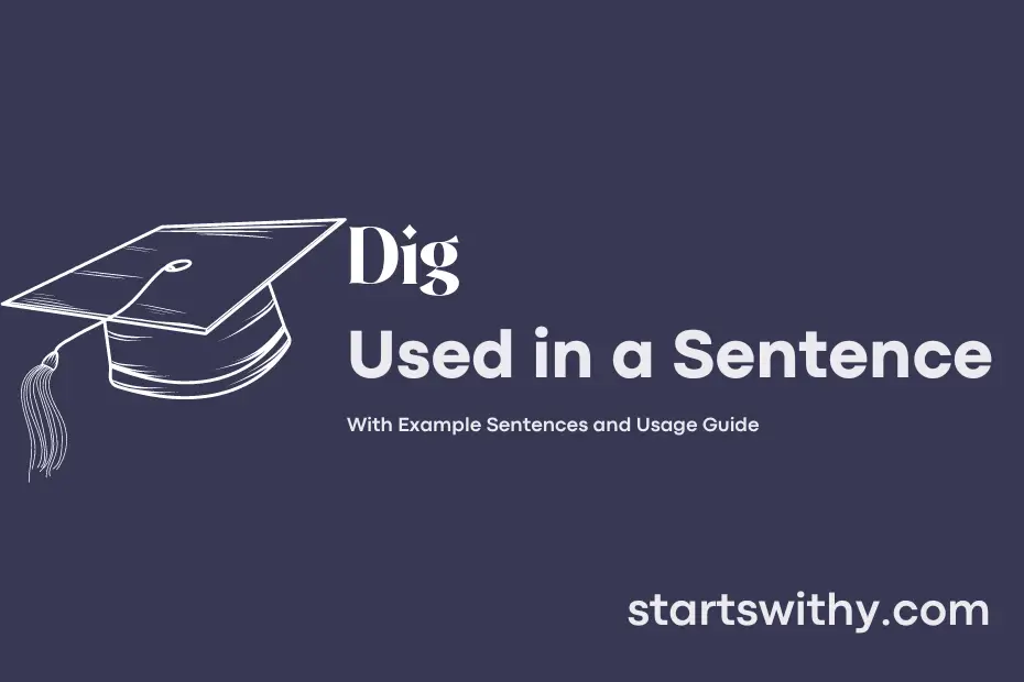 sentence with Dig
