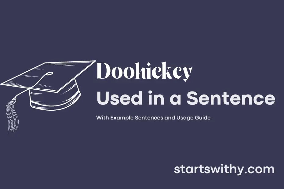 sentence with Doohickey