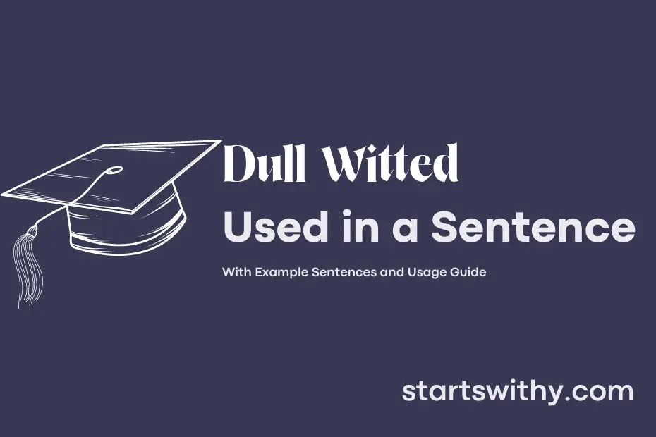 sentence with Dull Witted