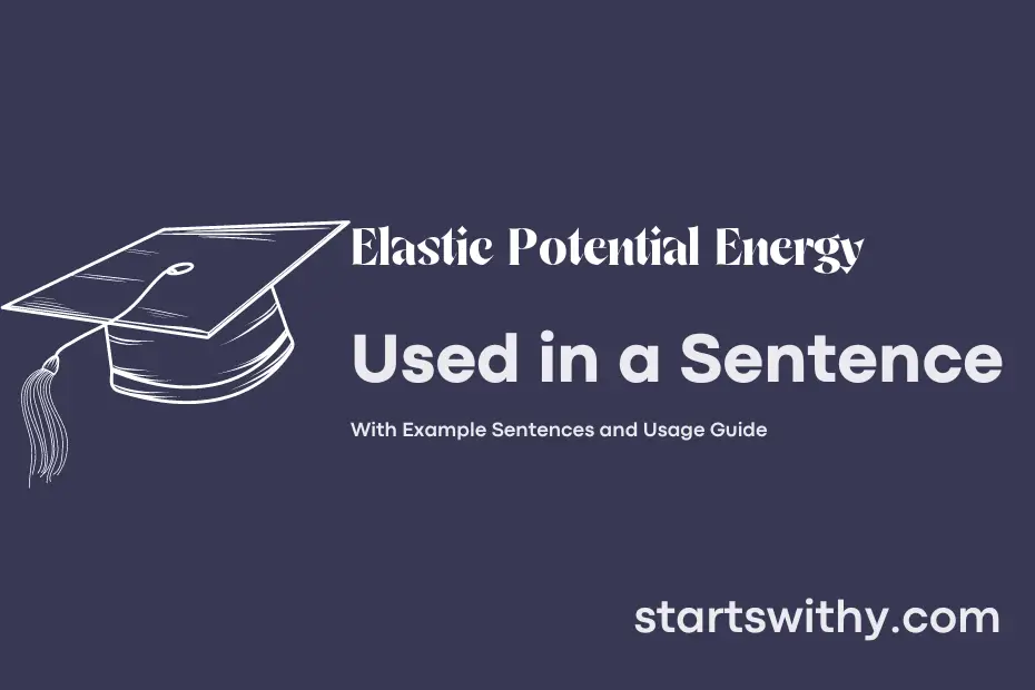 sentence with Elastic Potential Energy