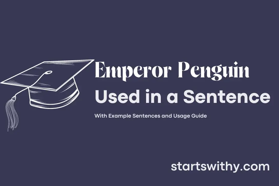 sentence with Emperor Penguin