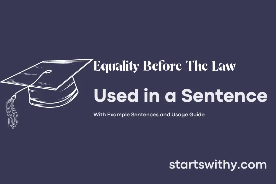 sentence with Equality Before The Law