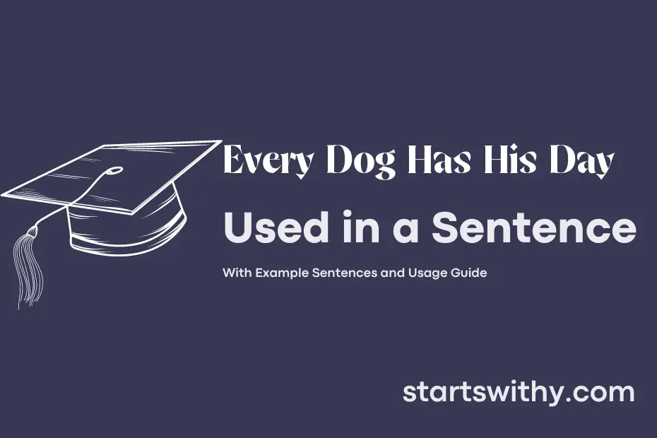 sentence with Every Dog Has His Day