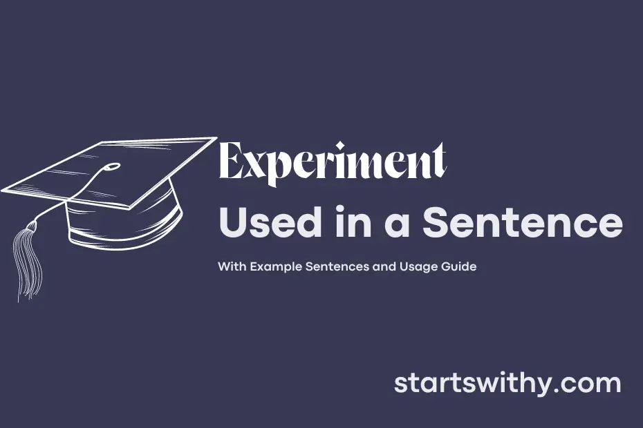 sentence with Experiment