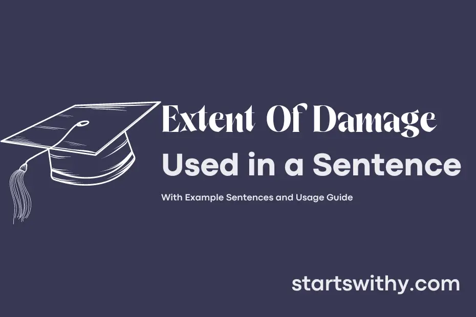 sentence with Extent Of Damage