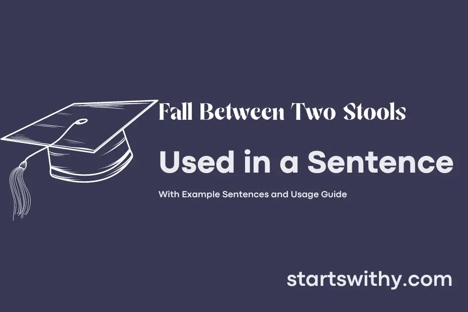 sentence with Fall Between Two Stools