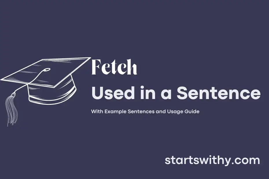sentence with Fetch
