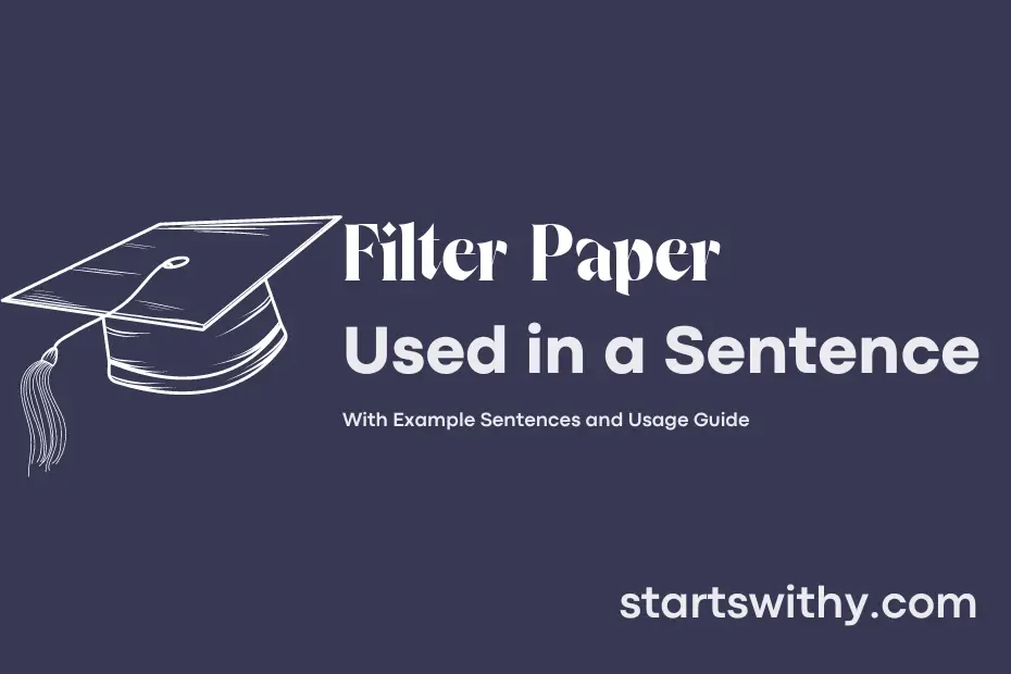 sentence with Filter Paper