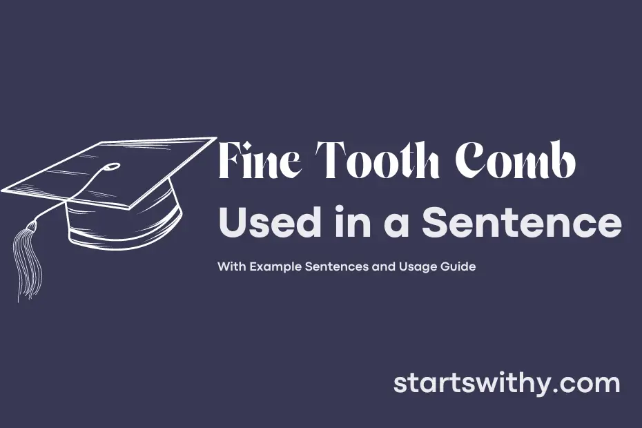 sentence with Fine Tooth Comb