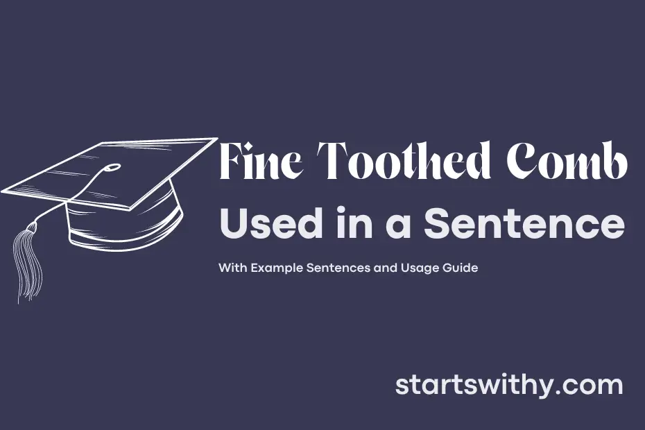 sentence with Fine Toothed Comb