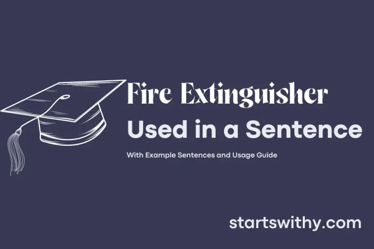 FIRE EXTINGUISHER in a Sentence Examples 21 Ways to Use Fire Extinguisher