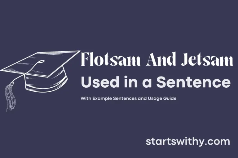 FLOTSAM AND JETSAM in a Sentence Examples 21 Ways to Use Flotsam And