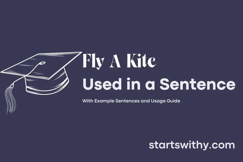 sentence with Fly A Kite