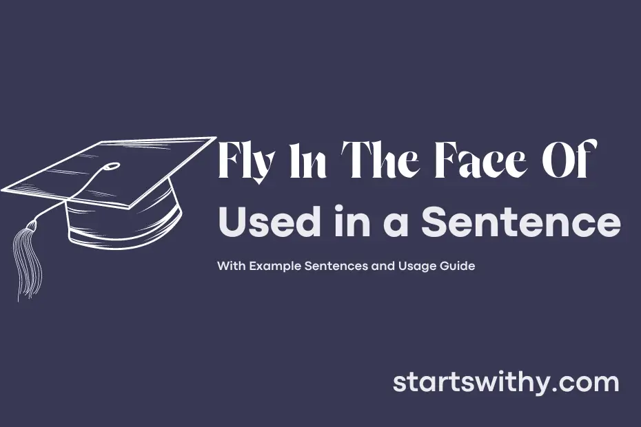 sentence with Fly In The Face Of