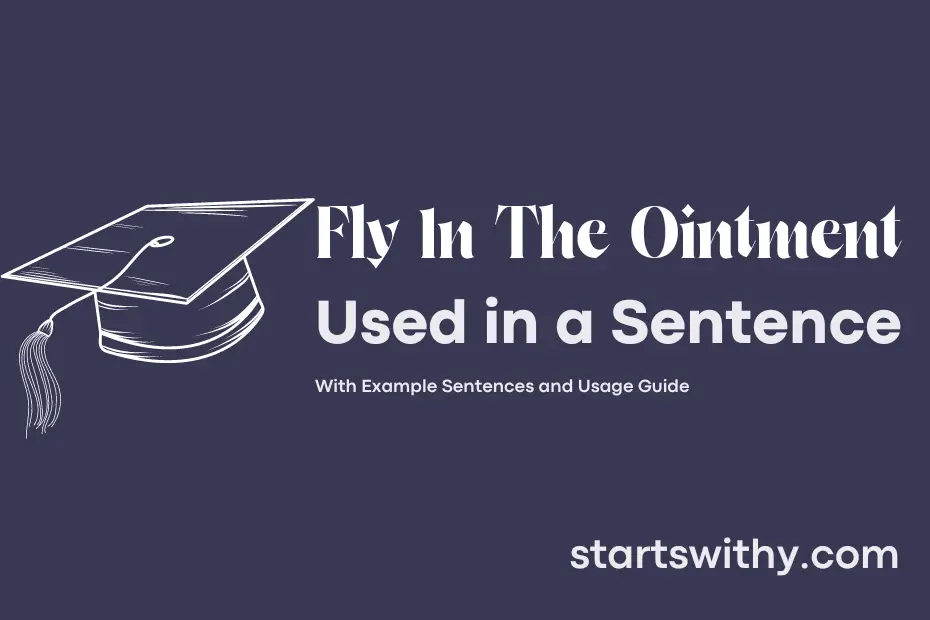 sentence with Fly In The Ointment