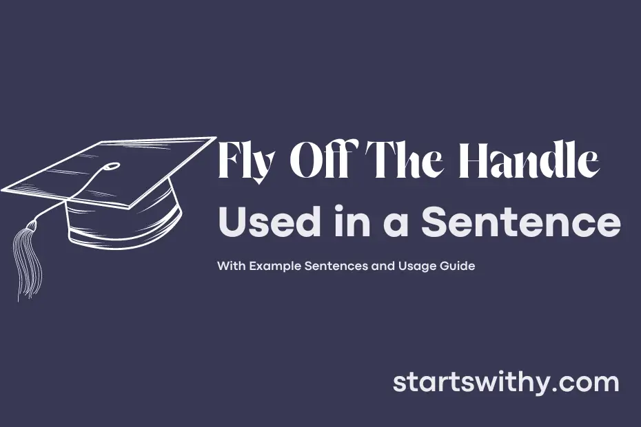 sentence with Fly Off The Handle