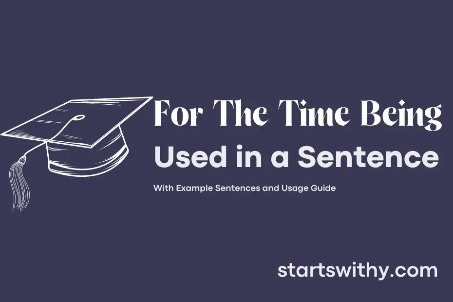 sentence with For The Time Being