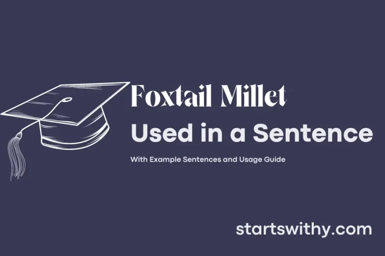 FOXTAIL MILLET in a Sentence Examples 21 Ways to Use Foxtail Millet