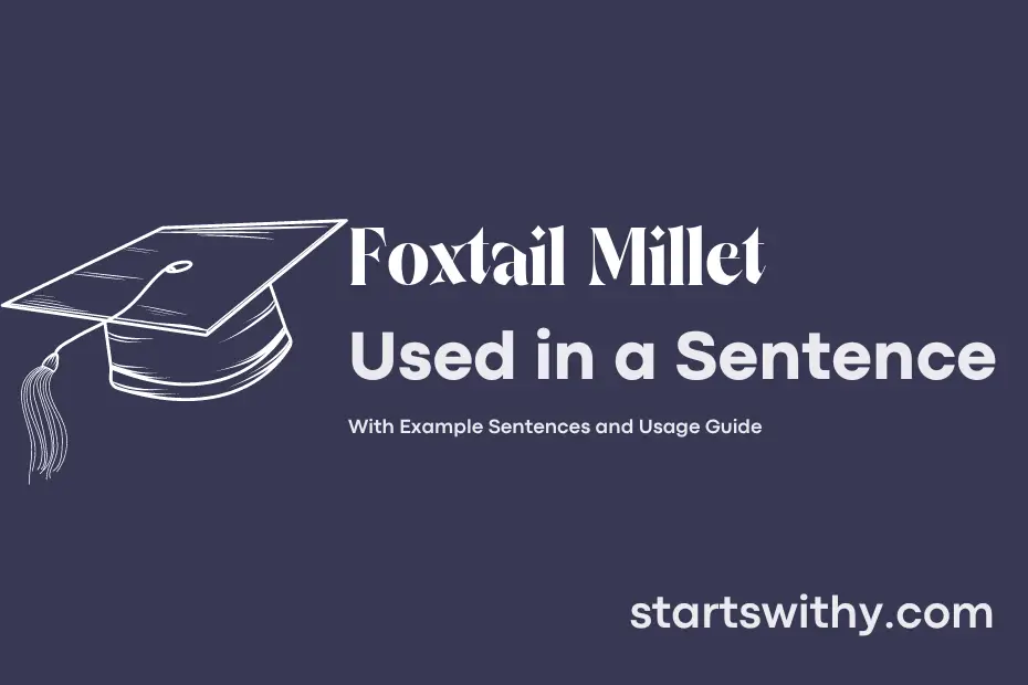 sentence with Foxtail Millet
