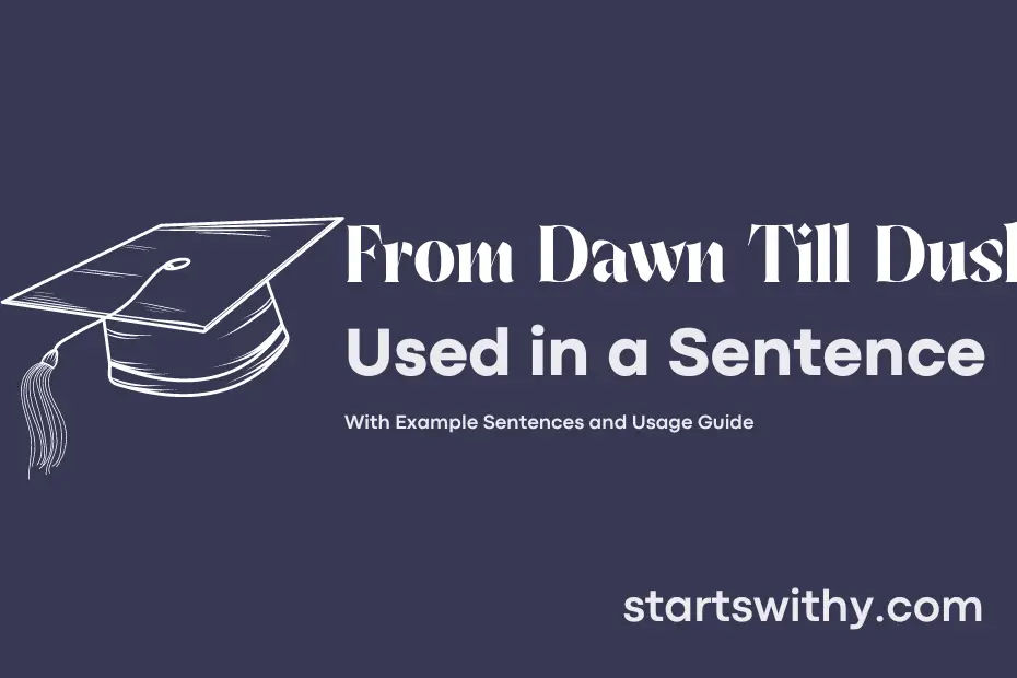 sentence with From Dawn Till Dusk