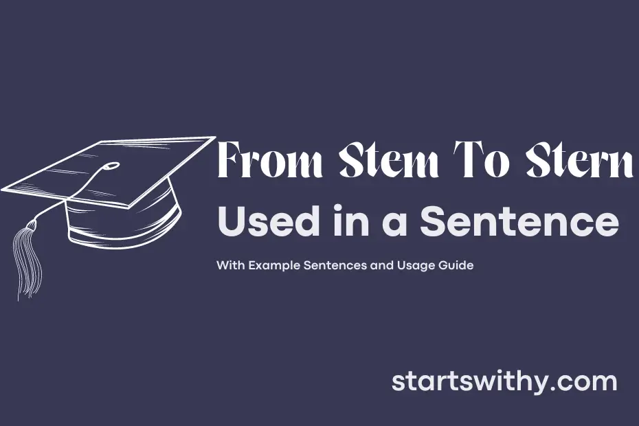 sentence with From Stem To Stern