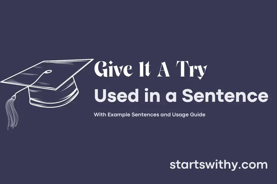 sentence with Give It A Try