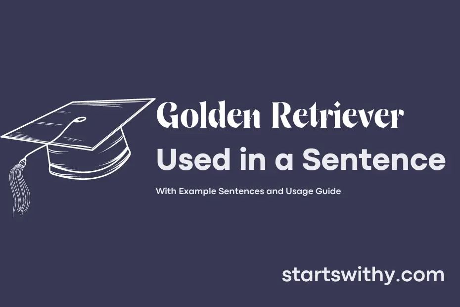 sentence with Golden Retriever