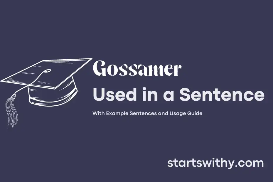 GOSSAMER in a Sentence Examples: 21 Ways to Use Gossamer