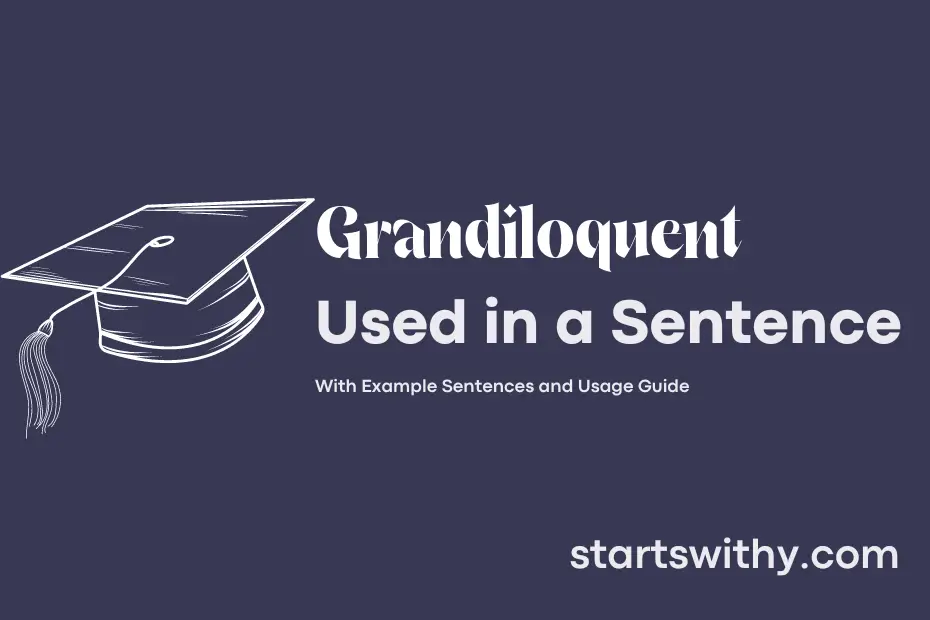 sentence with Grandiloquent