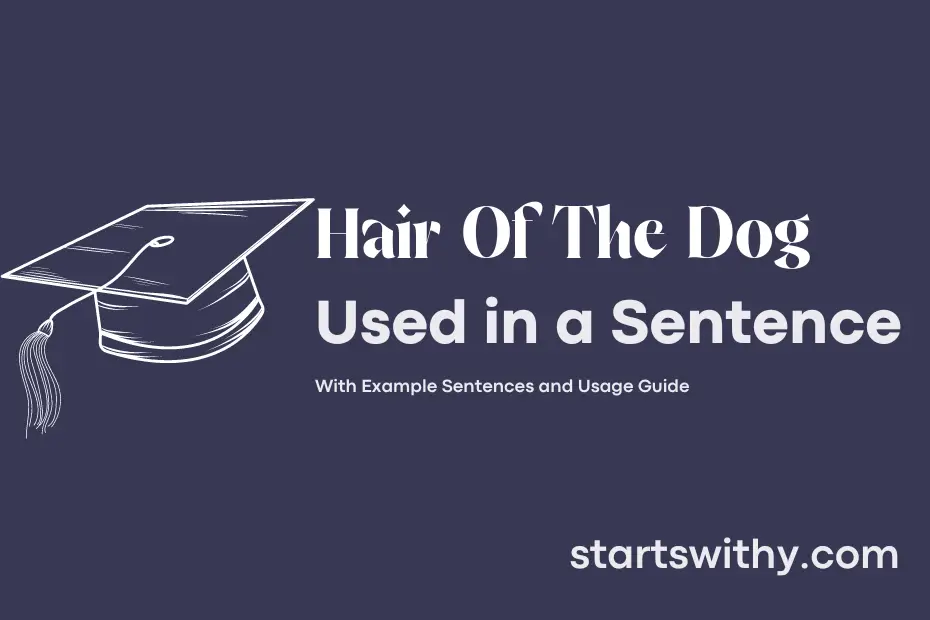sentence with Hair Of The Dog
