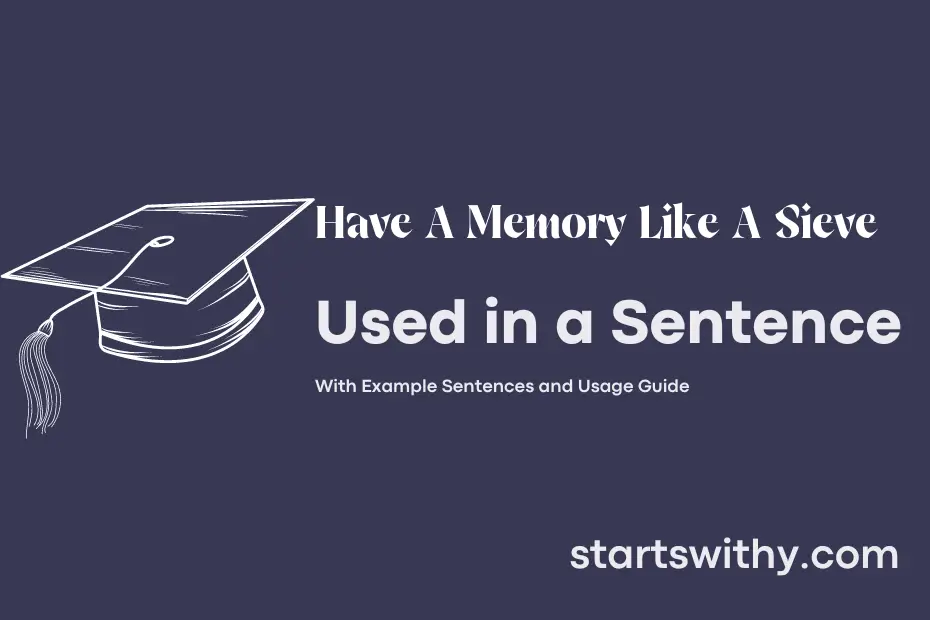 sentence with Have A Memory Like A Sieve