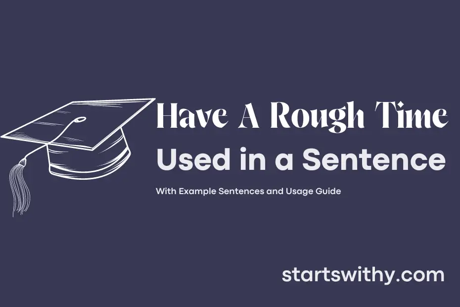 sentence with Have A Rough Time