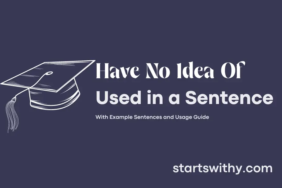 sentence with Have No Idea Of