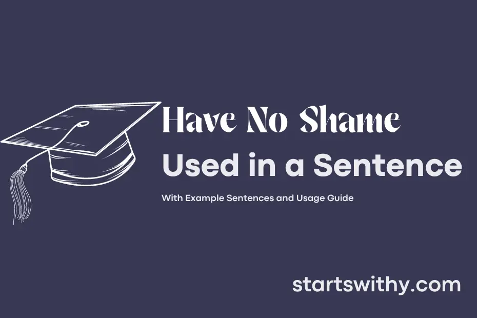 sentence with Have No Shame