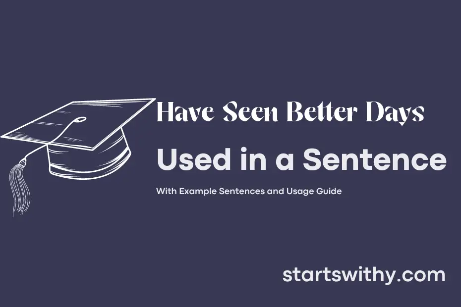 sentence with Have Seen Better Days